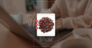 virutas de jamón ibérico