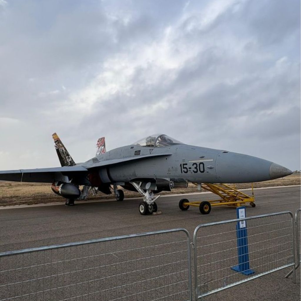 cortadores para eventos